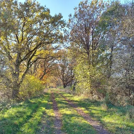 Forest Retreat, Cleaning Included Rommersheim