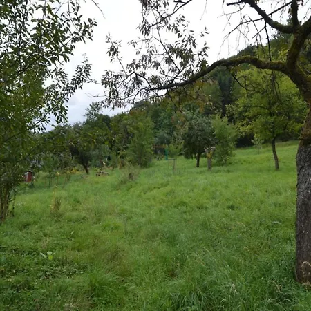 Forest Retreat, Cleaning Included *