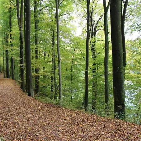 Forest Retreat, Cleaning Included Rommersheim