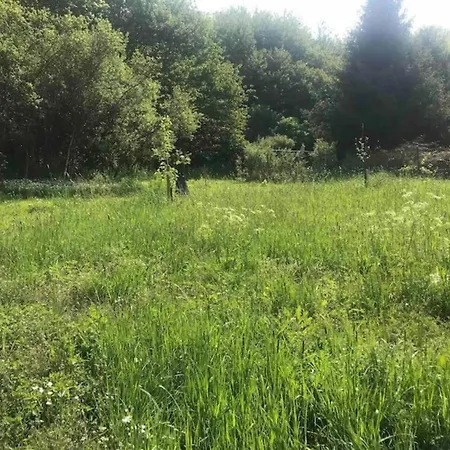 Forest Retreat, Cleaning Included