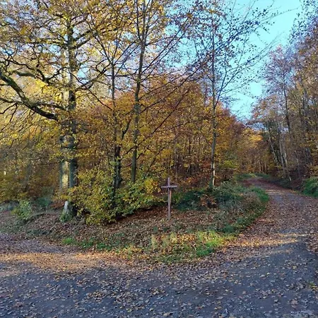 Forest Retreat, Cleaning Included شقة