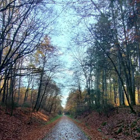 Forest Retreat, Cleaning Included Rommersheim